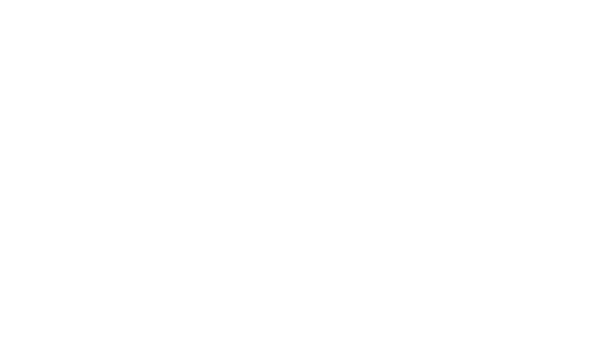 WBF — World Brazil Franchising